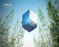 cctv-9 纪录