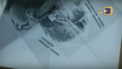 тв3 беларусь