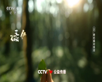 cctv-9 纪录