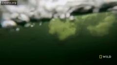 national geographic wild east