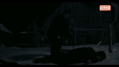 любимое кино