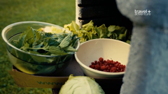 travel plus adventure