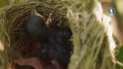 моя планета