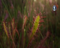 моя планета