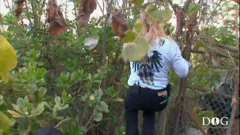 dog the bounty hunter