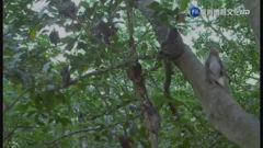 华视教育体育文化