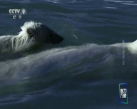 cctv-9 纪录