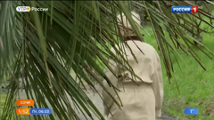 волгоград 24 ⓢ