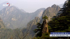 贵州省兴义市万峰林