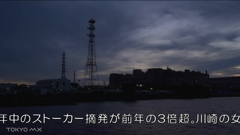 tokyo mx チャンネル