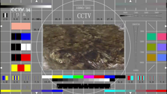 cctv14hd