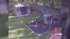 failarmy international