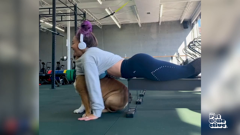 the pet collective international