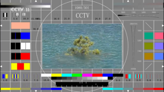 cctv-11hd