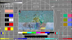 cctv-7高清