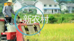 绍兴电视台公共