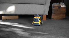 the pet collective international