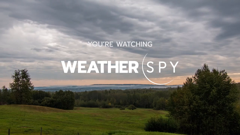 weatherspy