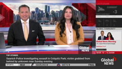 ช่อง global news