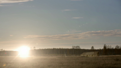 киножелезо