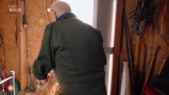 national geographic wild