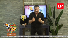 el pingüino tv