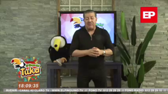 el pingüino tv