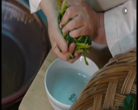 точка отрыва