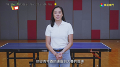 tdm - teledifusão de macau