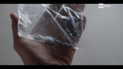 rai italia australia