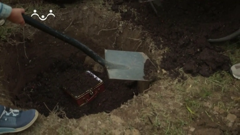 радость моя