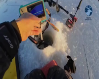 охота и рыбалка