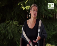 загородная жизнь