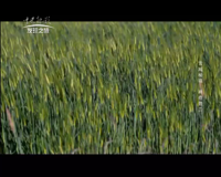 中央新影-发现之旅