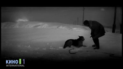 кино 1 international