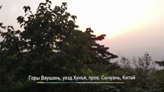 большая азия