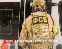 соловьев live