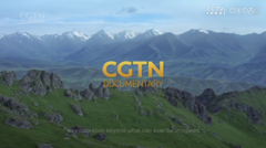 cgtn外语纪录