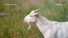 ช่อง outdoor channel