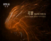 cctv-9 纪录