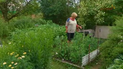 загородный international