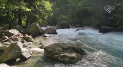 живая природа