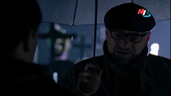 мтв волгоград