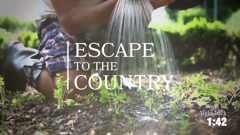 escape to the country