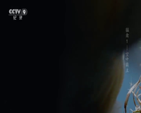 cctv-9 纪录