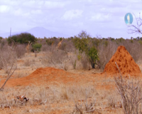 моя планета