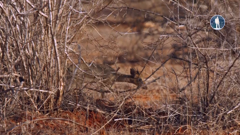 моя планета