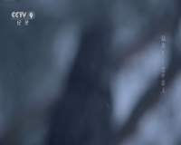 cctv-9 纪录