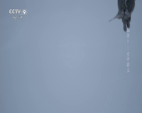 cctv-9 纪录