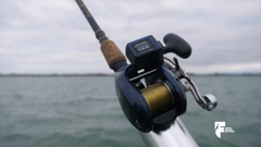 world fishing network